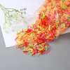 Fashionable Colored Disposable Elastic Hair Bands